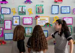 Cidadania Em Movimento Nova Escola